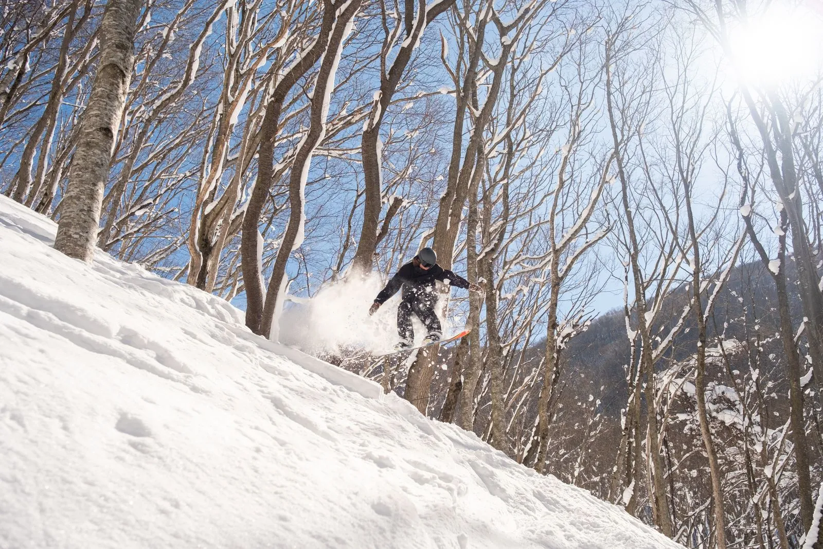 Capture of a snowboarder descending through a snowy forest in Japan, embracing winter adventure.